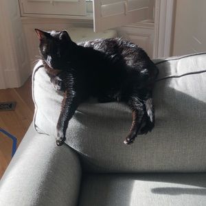 Meet your Posher, John